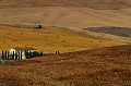 40 - crete senesi - MARCHI Franco - italy